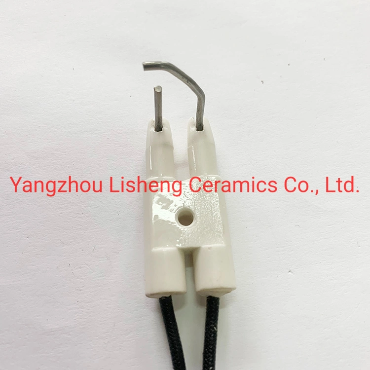 Ceramic Ignition Electrode for Gas