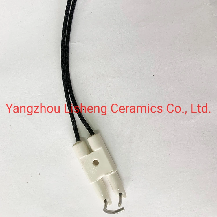 Ceramic Ignition Electrode for Gas