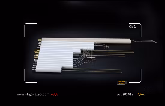 Extensions d'électrodes d'allumage en céramique